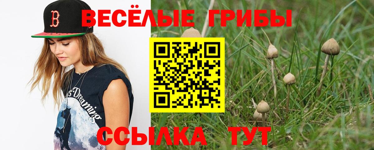 Гусев  Псилоцибиновые грибы Psilocybine cubensis  Вход с VPN  Псилоцибиновые грибы мицелий 